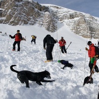 Kanada'da çığ can aldı!