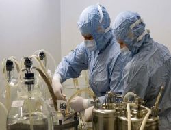 Rusya'dan Dsö'ye Domuz Gribi Suçlaması