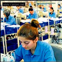 Binlerce yoksula "istihdam" müjdesi