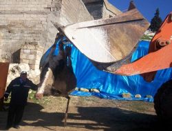 Gaziantep'te İki Gün Arayla Hayvan Leşi Bulundu