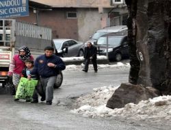 Bitlis Kalesi'nden Kopan Kayalar Tehlike Saçıyor