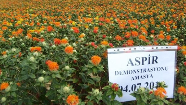 Türkiye'yi uçuracak müthiş proje