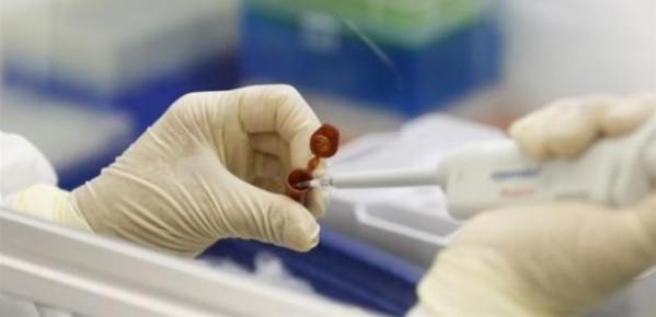 Manisa'da 3 domuz gribi vakası