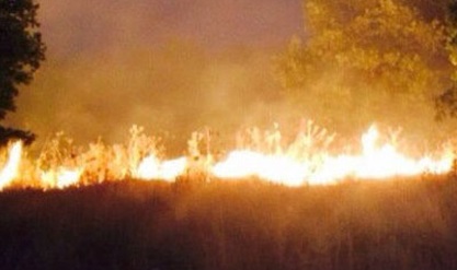 Diyarbakır'da korkutan yangın