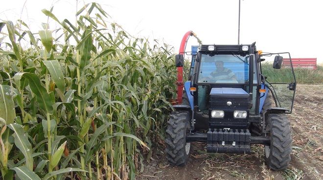 Bakanlıktan çiftçiye müjde