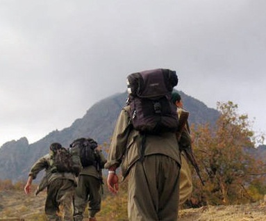 PKK'lılar köy minibüslerini taradı