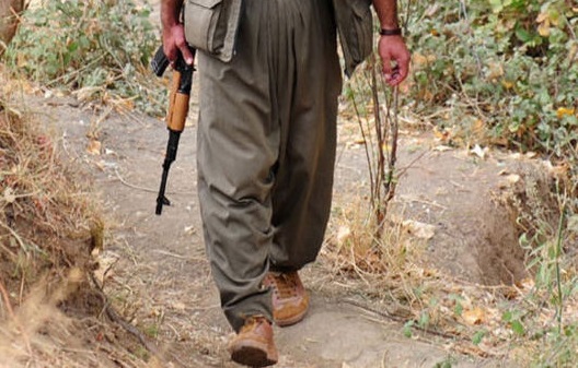PKK'lılar yol kesip minibüs taradı