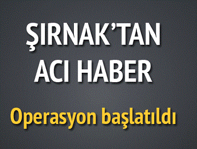 Beytüşşebap'ta saldırı: 2 şehit