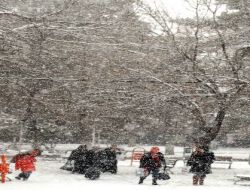 Kayseri'de Kar Yağışı Etkisini Gösterdi