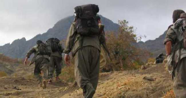 TSK: 5 teröristin cesedi bulundu