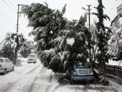 Tem Bolu Tüneli Ankara İstikameti Ulaşıma Kapalı