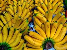 KAÇAK MUZ OPERASYONU