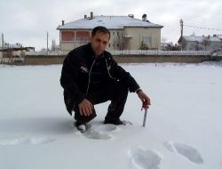 Kar, Şarkışla'yı Elektriksiz Bıraktı