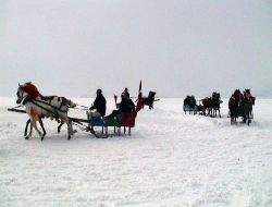 Donan Çıldır Gölü Üzerinde Yapılan Atlı Kızak Yarışması Nefes Kesti