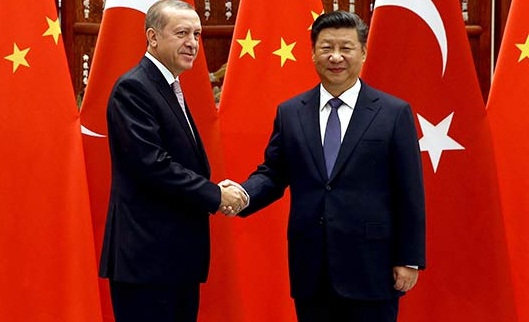 Erdoğan, Çin'de Şi Cinping ile görüştü