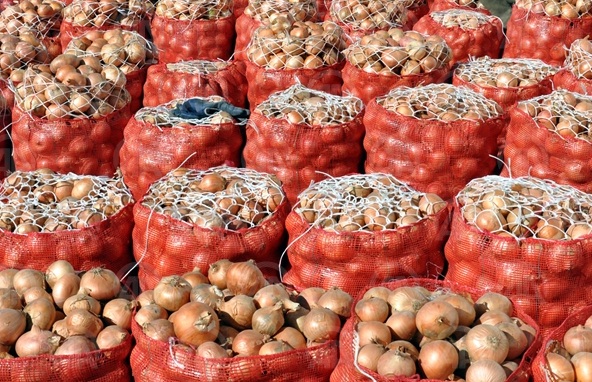 Soğan, üreticisinin "gözlerini yaşarttı"