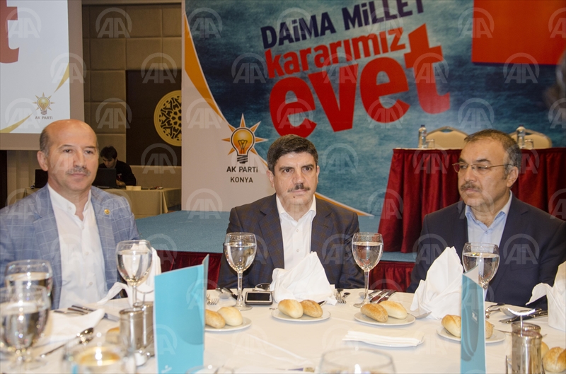 Hollanda'nın Skandal Tavrı