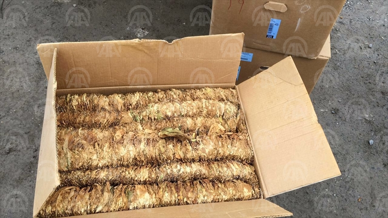 Sivas'ta 600 kilogram kaçak tütün ele geçirildi