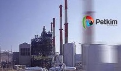 Petkim'e yeni genel müdür yardımcısı