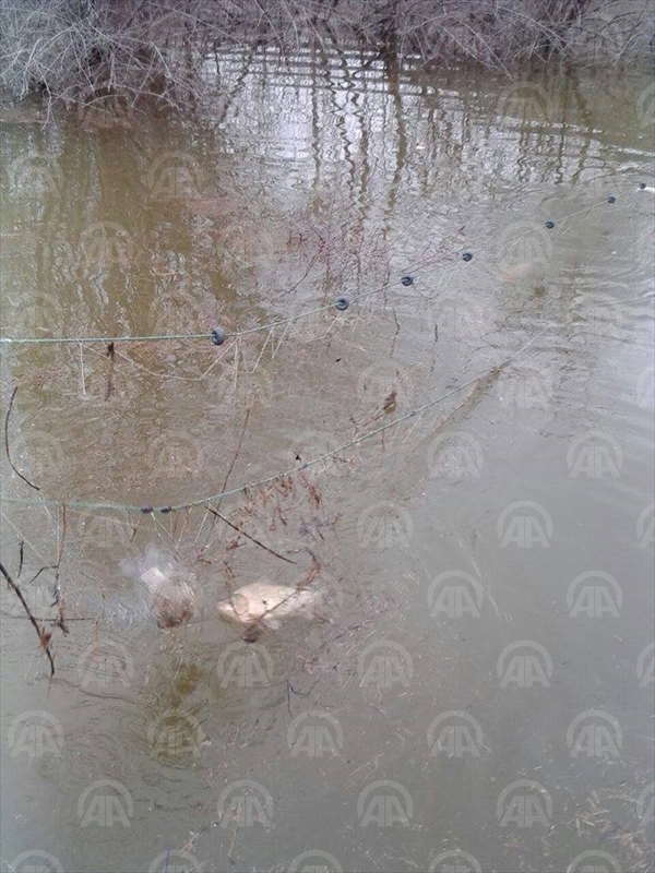 Konya'dan kısa kısa...