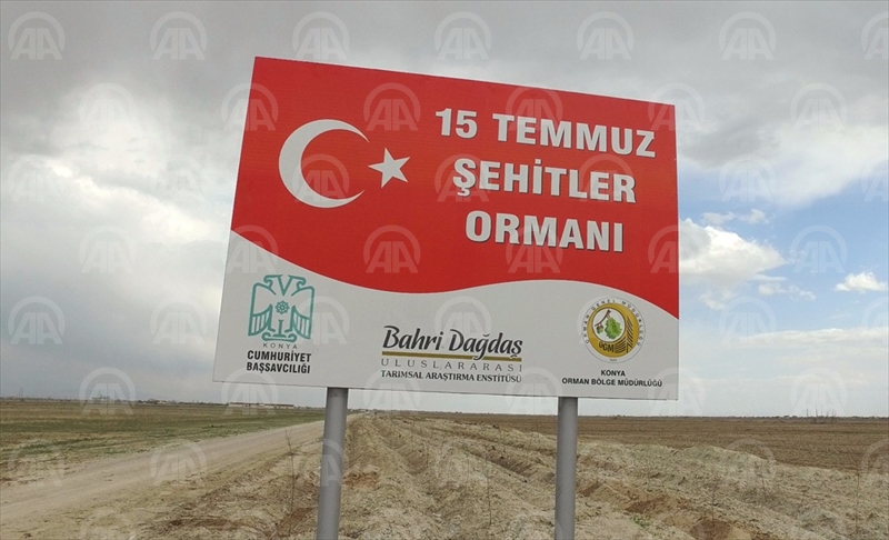 Hükümlüler, 15 Temmuz şehitleri için fidan dikiyor