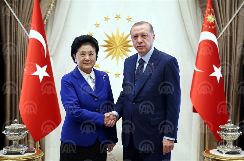 Cumhurbaşkanı Erdoğan'ın kabulü