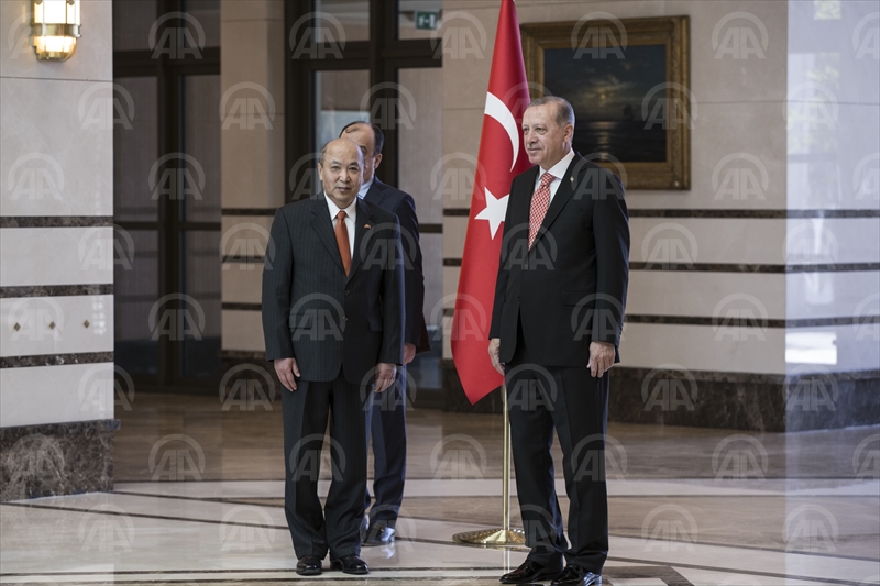 Cumhurbaşkanı Erdoğan'ın kabulü