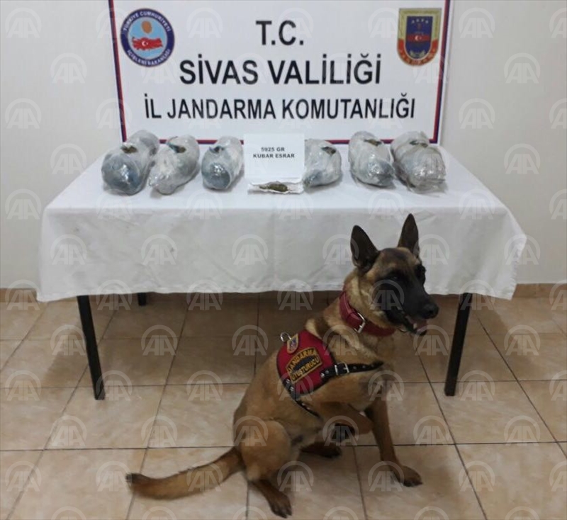 Sivas'ta uyuşturucu operasyonu