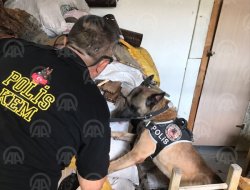 81 ilde "narko sokak" operasyonu