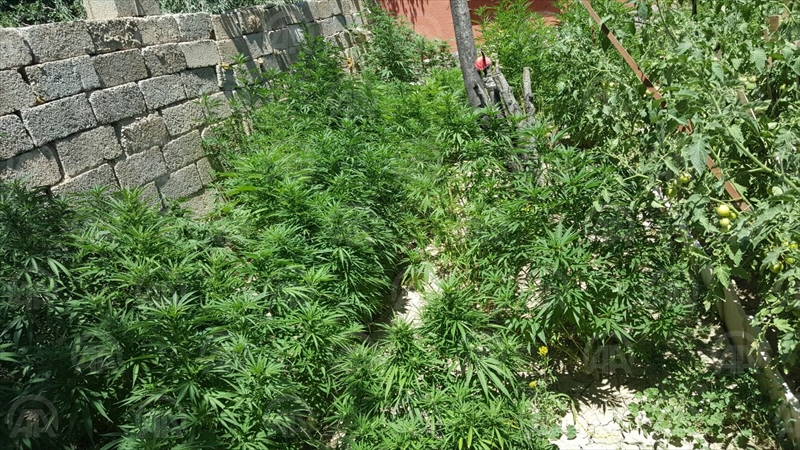 Konya'da uyuşturucu operasyonu