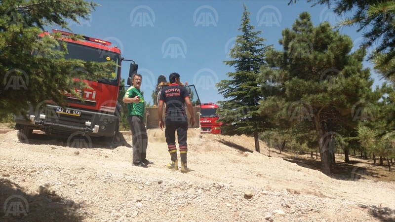 Konya'da orman yangını