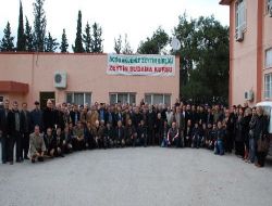 Dazb Başkanı Güler: Zeytinde Doğru Budama İle Verim Yüzde 60 Artıyor