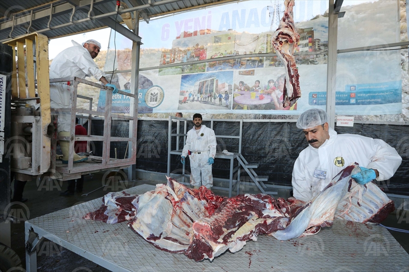 Yakacık'ta 2 bin 700 kurban kesildi