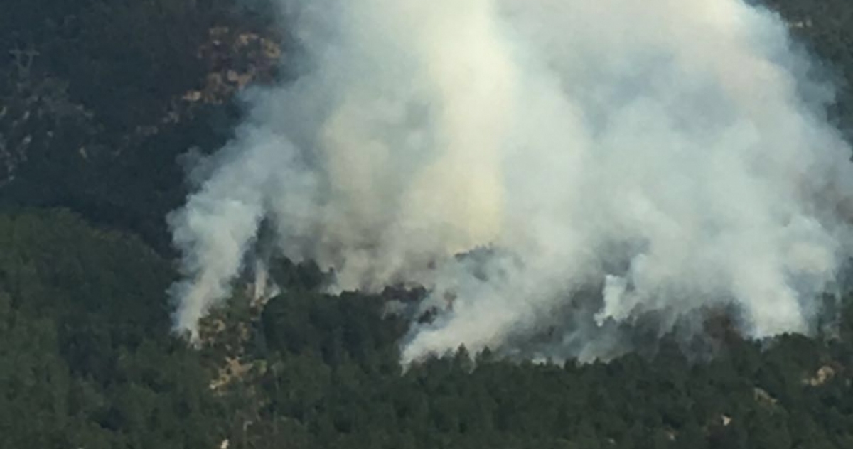 Nallıhan'daki orman yangını
