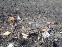 FETÖ elebaşı Gülen'e ait yanmış kitaplar bulundu