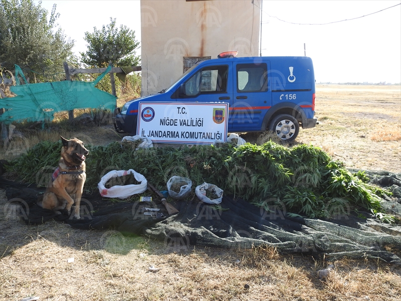 Niğde'de uyuşturucu operasyonu