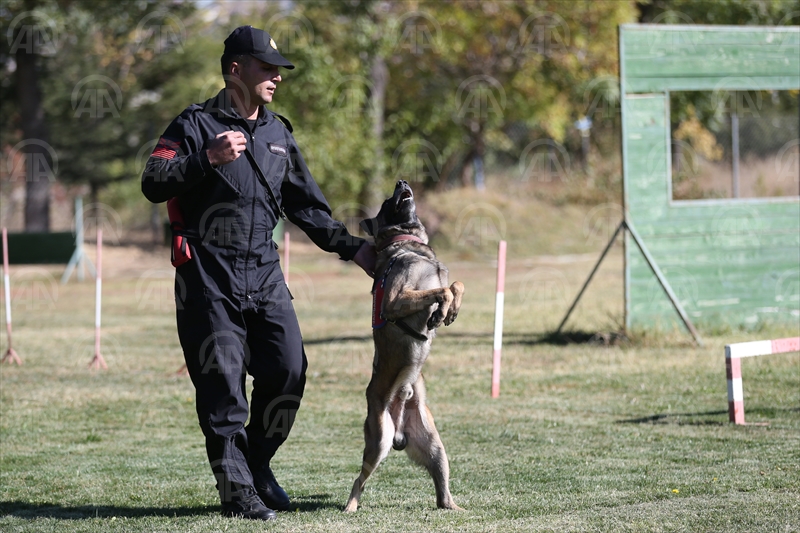 Jandarmanın "hassas burunları"na JAKEM'de zorlu eğitim