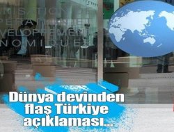 OECD Türkiye'nin büyüme tahminini yükseltti