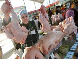 Rusya, 2012 Yılından Sonra Tavuk Eti İthal Etmeyecek!