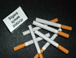 Rize İl Sağlık Müdürlüğü, Dumansız Yaşama Destek Çağrısı Yaptı