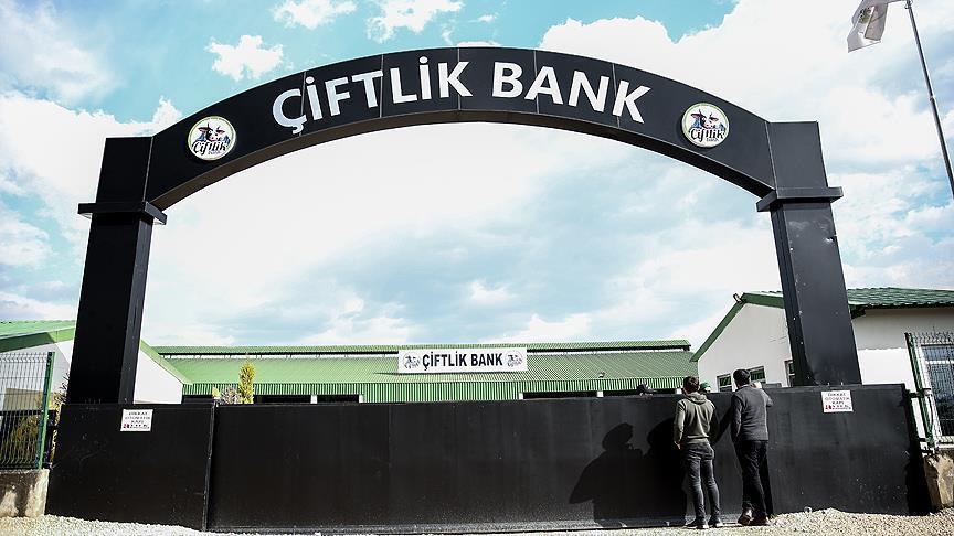 Çiftlik Bank'ın yazılımcısı tutuklandı!