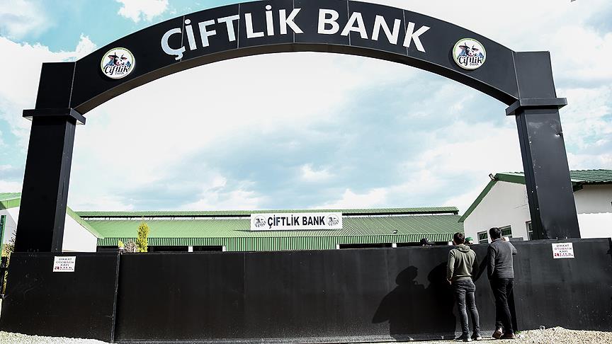 Bulgaristan'ın iade ettiği Çiftlik Bank firarisi adliyede