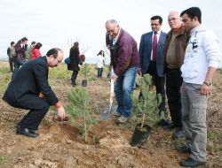 Maden İhracatçıları 600 Dönüm Alanı Ağaçlandırıyor