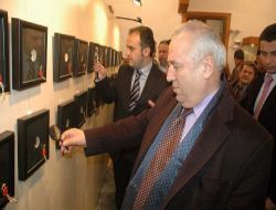 Sinek Kanadına Resim Yaptı