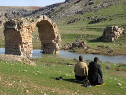 Araban'ın Tarihi Köprüsü Kurtarılmayı Bekliyor