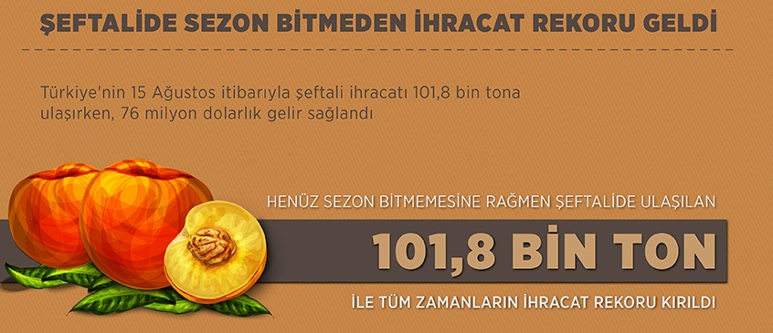 Şeftalide sezon bitmeden ihracat rekoru geldi