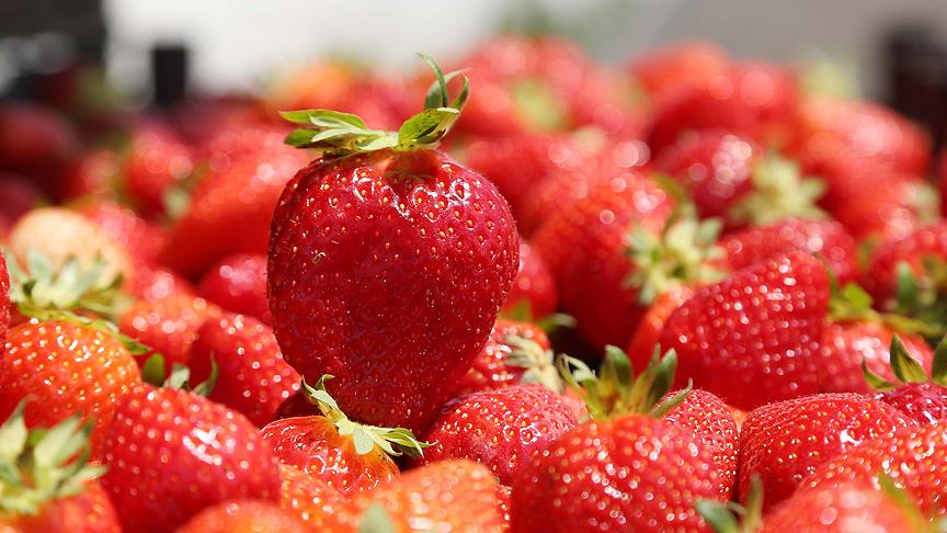 Muş ekonomisine 'çilek' etkisi