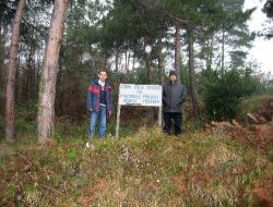 Kastamonu Ormanlarında Çamkese Böcekleriyle Mekanik Mücadele Başlatıldı