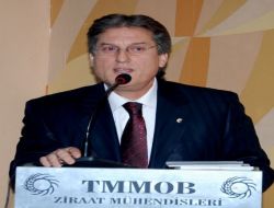 Zeytinyağı, Bir Çok Hastalığa Şifa Kaynağı