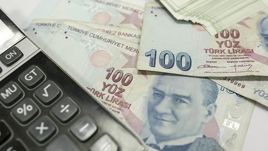 Kamunun imalat yatırımlarında en yüksek pay gıdanın